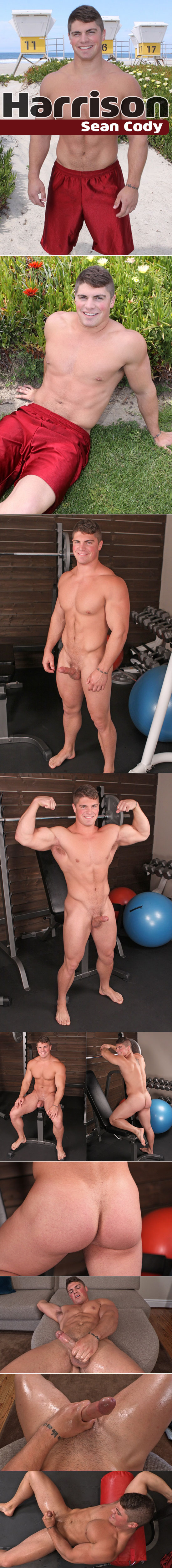 free Sean Cody picture preview